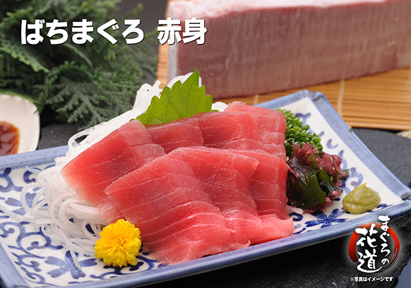 バチマグロ上赤身