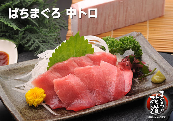 バチマグロ中トロ