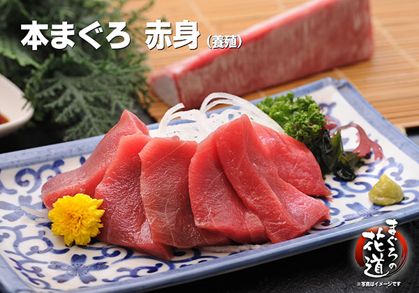 本マグロ上赤身